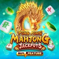 Cá cược đá gà trực tiếp tại casino xin88