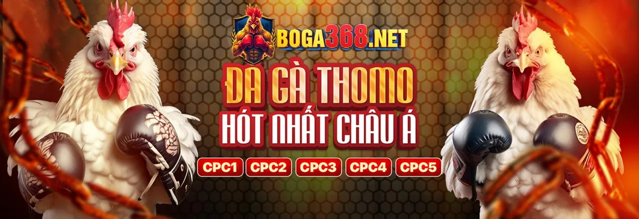 Đội Ngũ Hỗ Trợ casino xin88