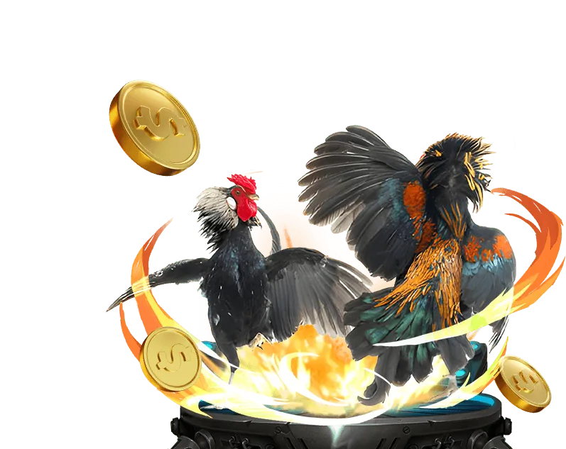 Giới thiệu về casino xin88